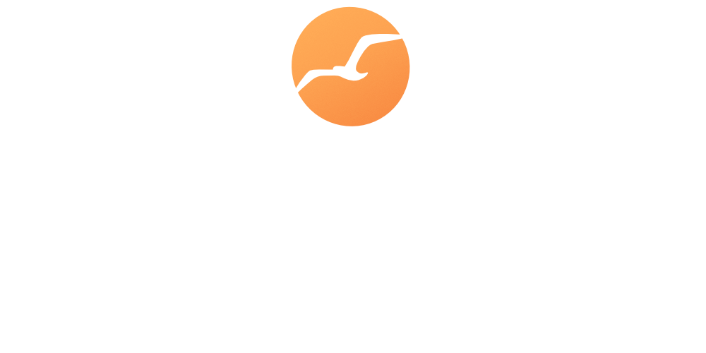 Logo der Dermatologie am Sund in Farbe mit Möwe über orangen Hintergrund und darunter der Text "Dermatologie am Sund - Dr. med. Anja Seidel"